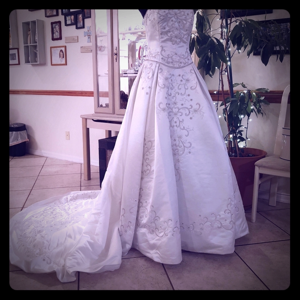 Gorgeous Demetrios wedding gown